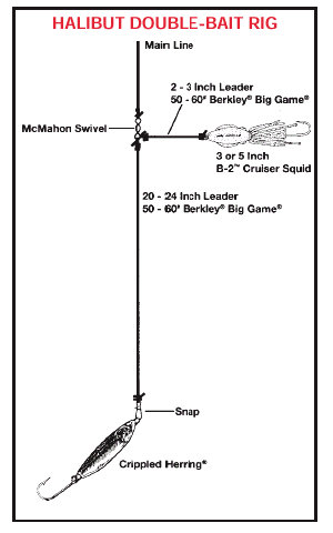 Fish Tips Article #6 -Strait of Juan De Fuca Halibut