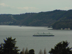 Below Deck Container Ship