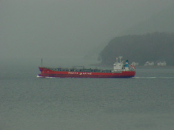 Tokyo Marine