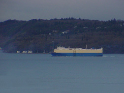 Below Deck Container Ship