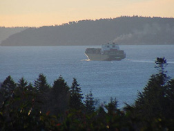 Below Deck Container Ship