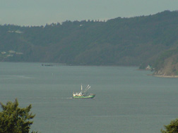 Cargo Ship.