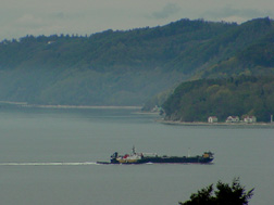 Cargo Ship the Lloyd Triestino heading for the Port of Seattle
