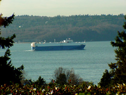 Ship unloaded, a leisure cruise back to the Port of Seattle, WA.