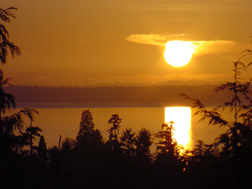 Tacoma Narrows Bridge at sunset.